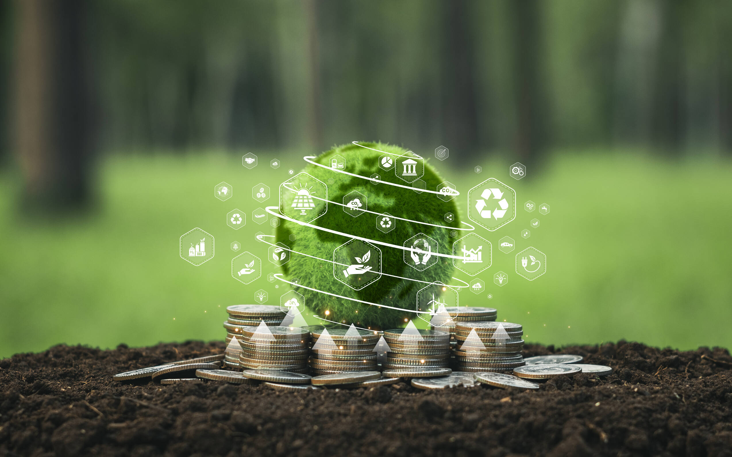 Istockphoto 1785710784 1024x1024